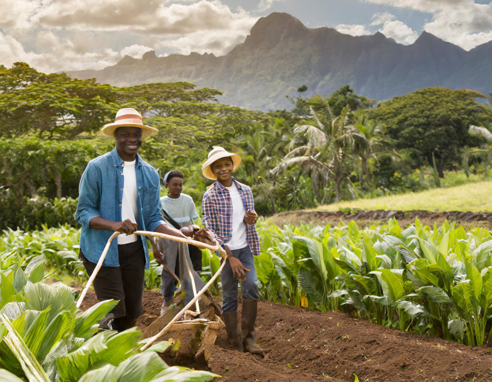 Tout sur l’Agriculture