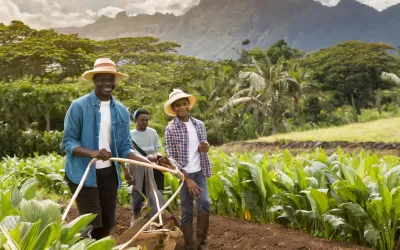 Tout sur l’Agriculture par TAKPARA Michée