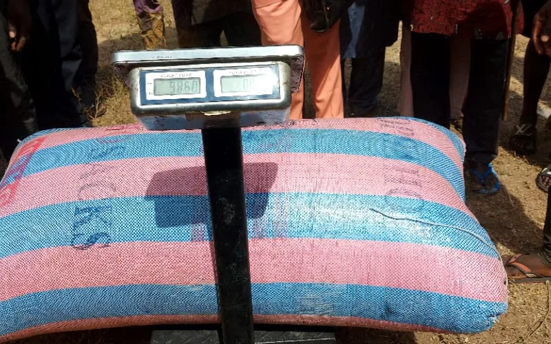 Djougou lance sa première campagne de commercialisation du riz